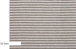 Alfombra Vaev de Alfombras KP