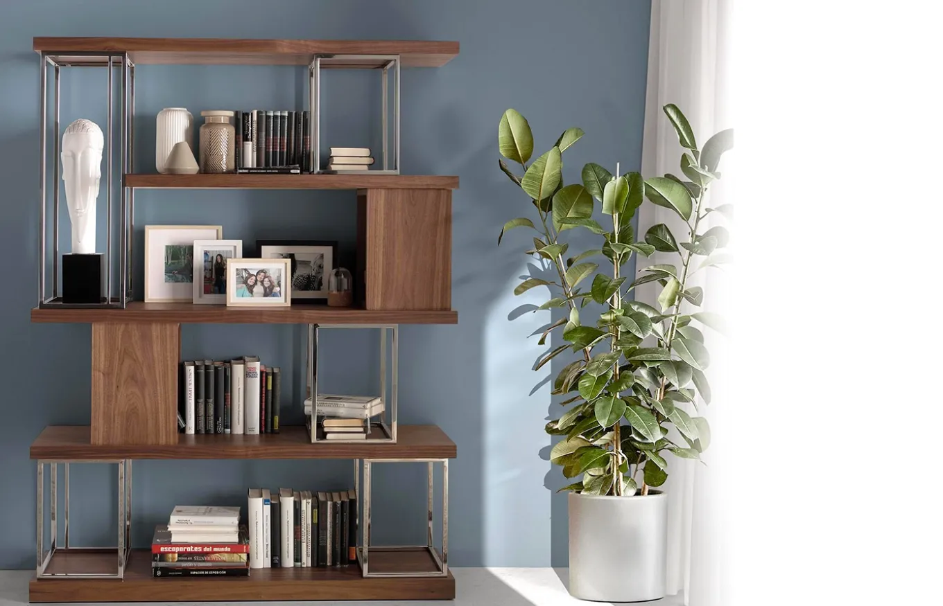 Estantería nogal 3220 de Ángel Cerdá