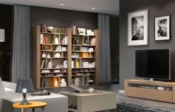 Librería New Nagare 402 de A.Brito